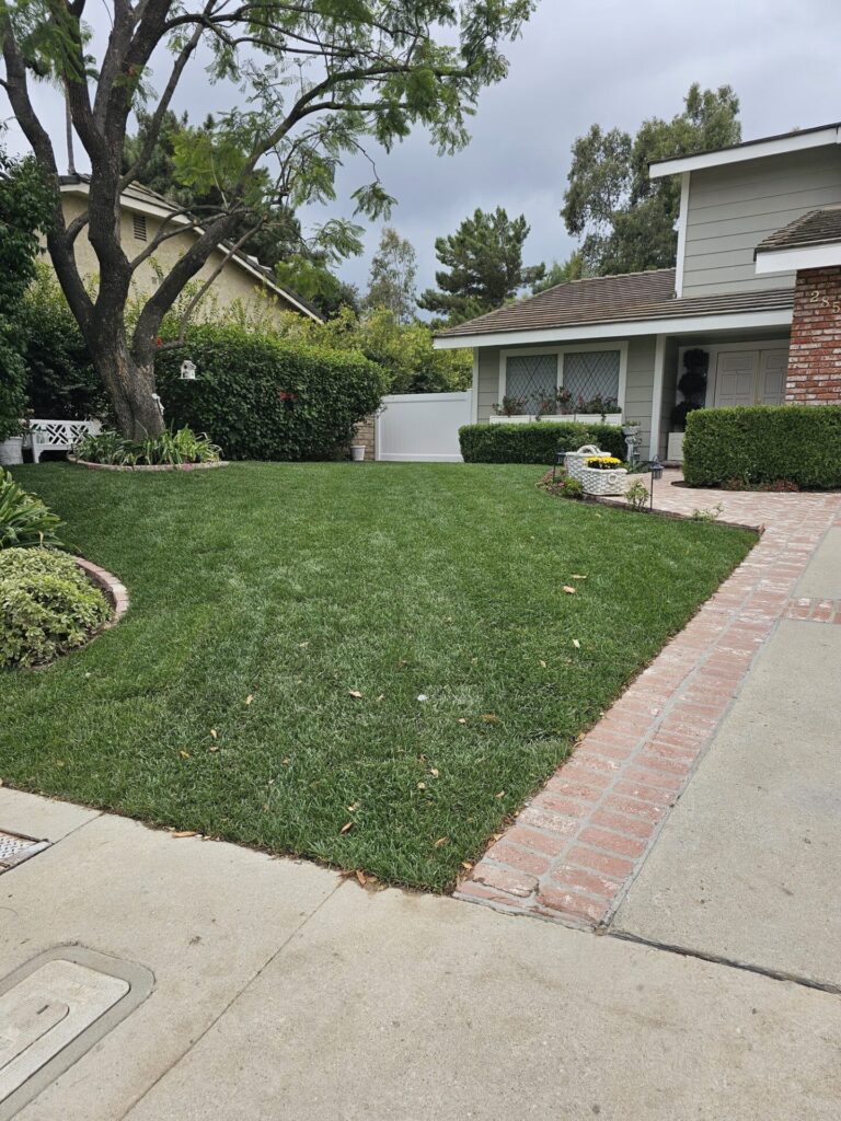 Fresh sod lawn framed by brick edging at a completed residential install