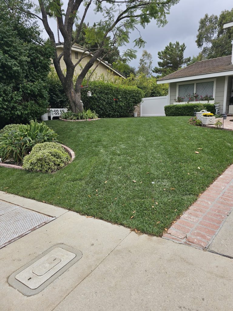 Freshly mowed front lawn and clean driveway on a routine maintenance visit