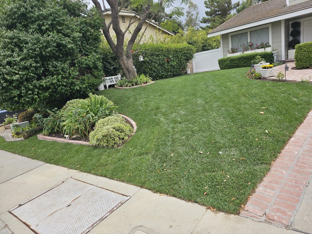 Wide view of a manicured estate lawn framed by mature landscaping