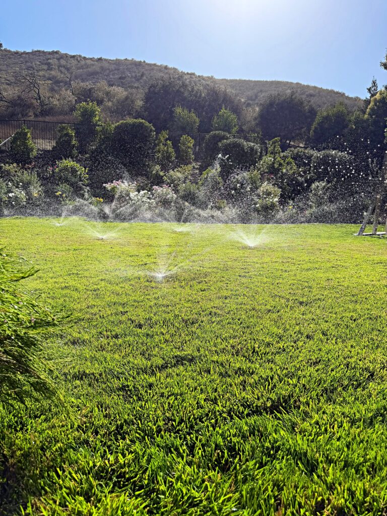 Multiple sprinklers misting a green lawn bordered by rose beds and hillside