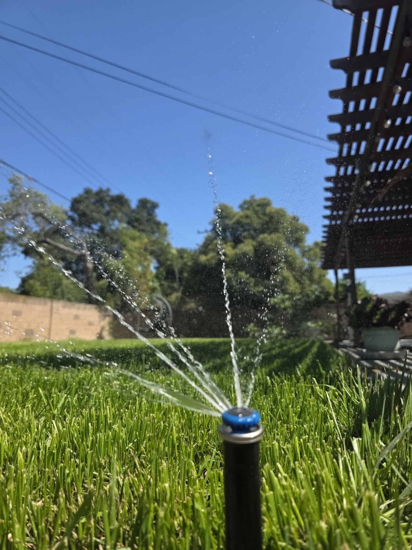Hunter MP Rotator nozzle spraying rotating streams on a finished irrigation install