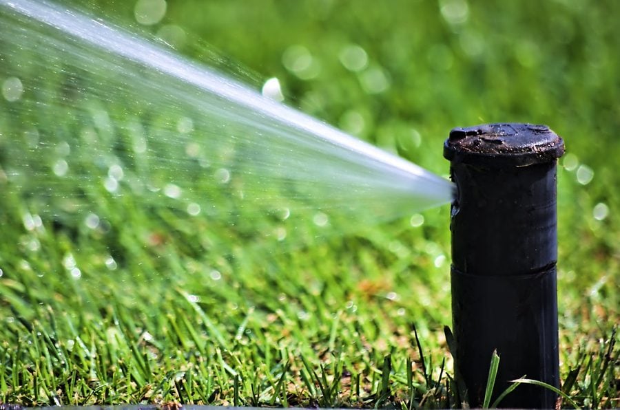 Pop-up sprinkler head throwing a concentrated jet of water sideways across a lawn