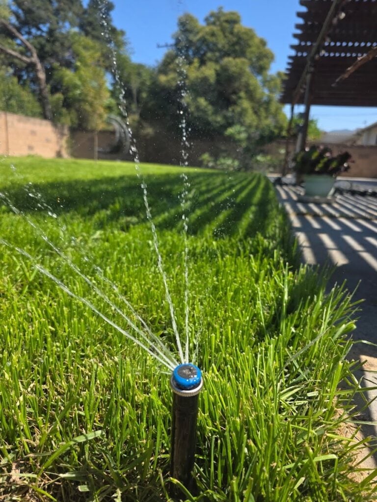 Popped-up sprinkler head running with an MP Rotator nozzle on a mown lawn